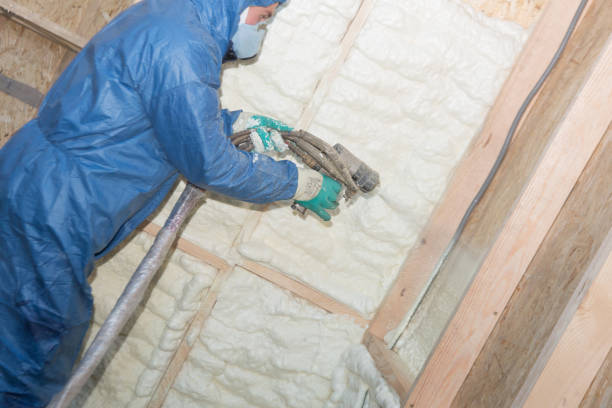 Professional Insulation in Emerald Bay, TX